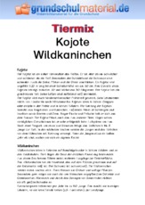 Kojote - Wildkaninchen.pdf